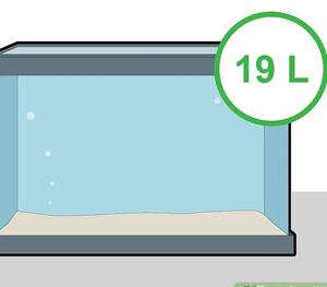 Tank Size and Water 