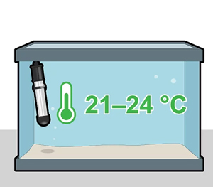 Temperature and Heater 