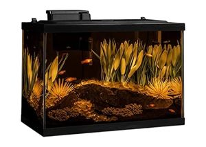 Tetra ColorFusion Aquarium NV33822