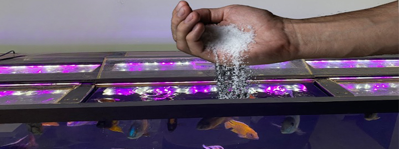 The Benefits of Using Aquarium Salt for Fish Health