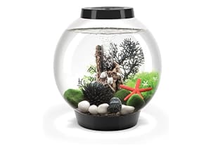 The Bio Orb Fish Bowl