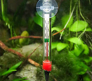 Thermometer