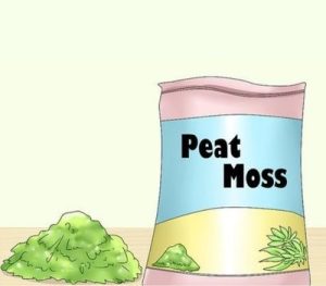 Using Peat Moss or Almond Leaves