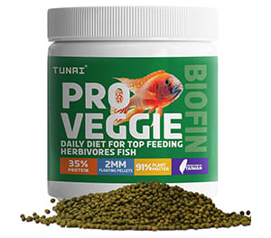 Veggie Molly Fish Food Pellets