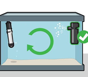 Water Circulation 