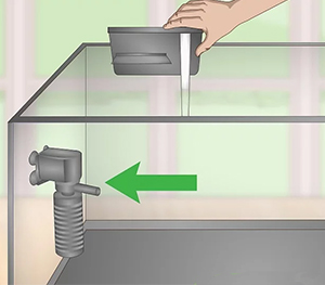 Water Flow and Filtration