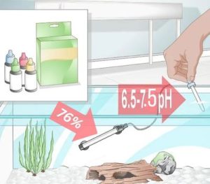 Water Parameters And Quality