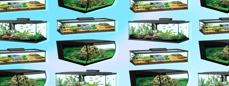 What Kind of Aquarium Tank is Right for You?