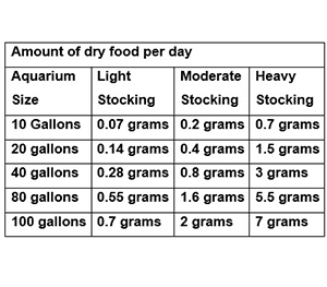 What should be the Feeding Time for Aquarium Fish