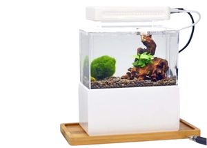 WUPYI Acrylic Mini Fish Tank